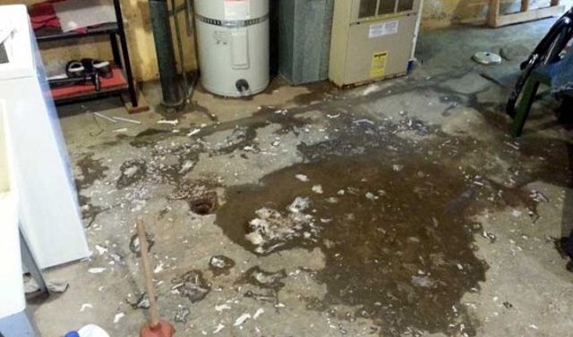 basement-sewage-backup-toronto