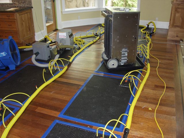 gta-restoration-specialty-drying