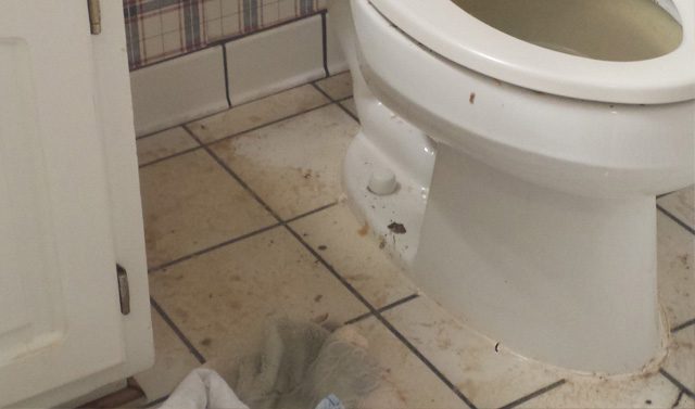 sewage-backup-cleaning-toronto