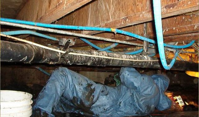 sewage-backup-cleanup-toronto