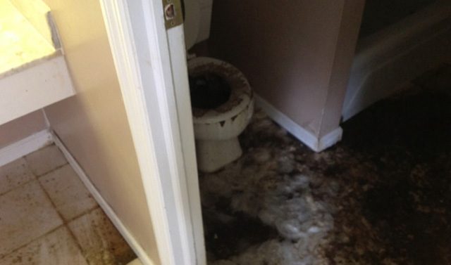 sewage-cleaning-toronto