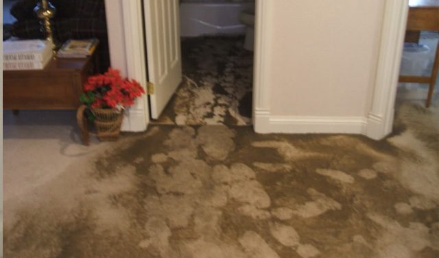 sewage-in-bathroom