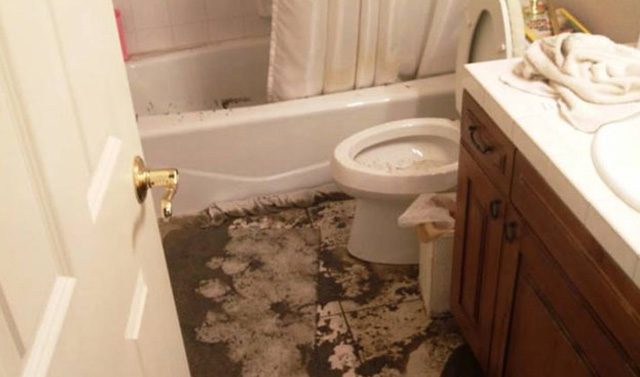 sewer-backup-cleaning-services-toronto