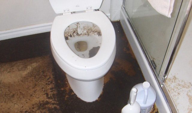 sewer-backup-cleaning-toronto