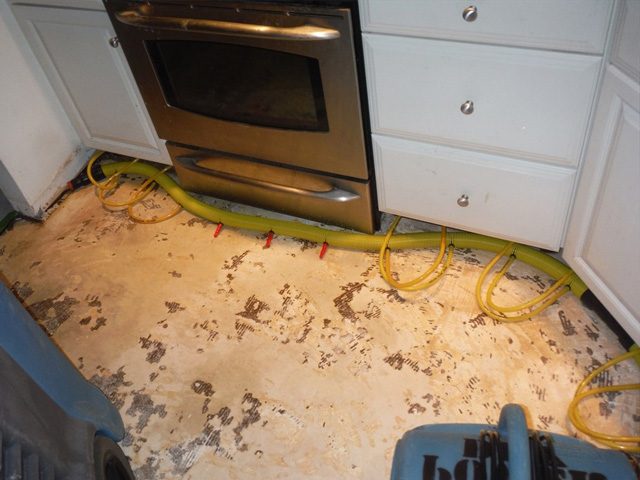 specialty-drying-kitchen