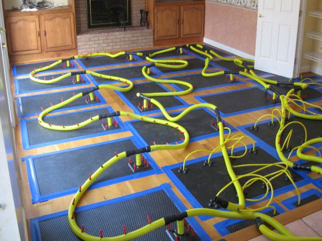 specialty-drying-toronto-wood