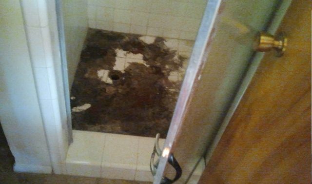 toronto-sewage-cleaning
