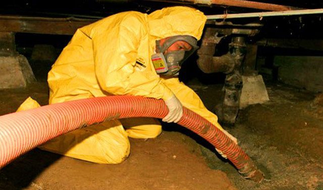 toronto-sewage-cleanup