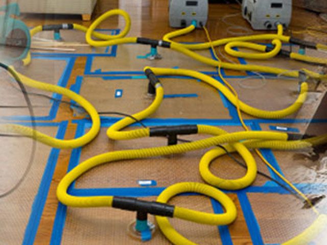 toronto-specialty-drying-services