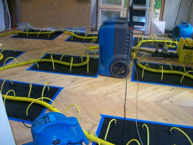wood-floor-drying